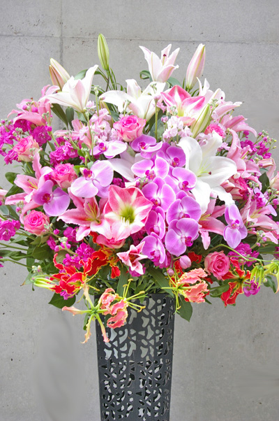 �X�^���h�ԁ@���c�J��